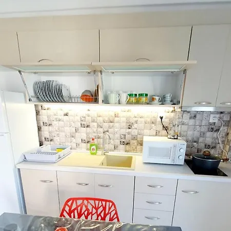 公寓 De Lux N1 30M From Sea Nea Kallikrateia